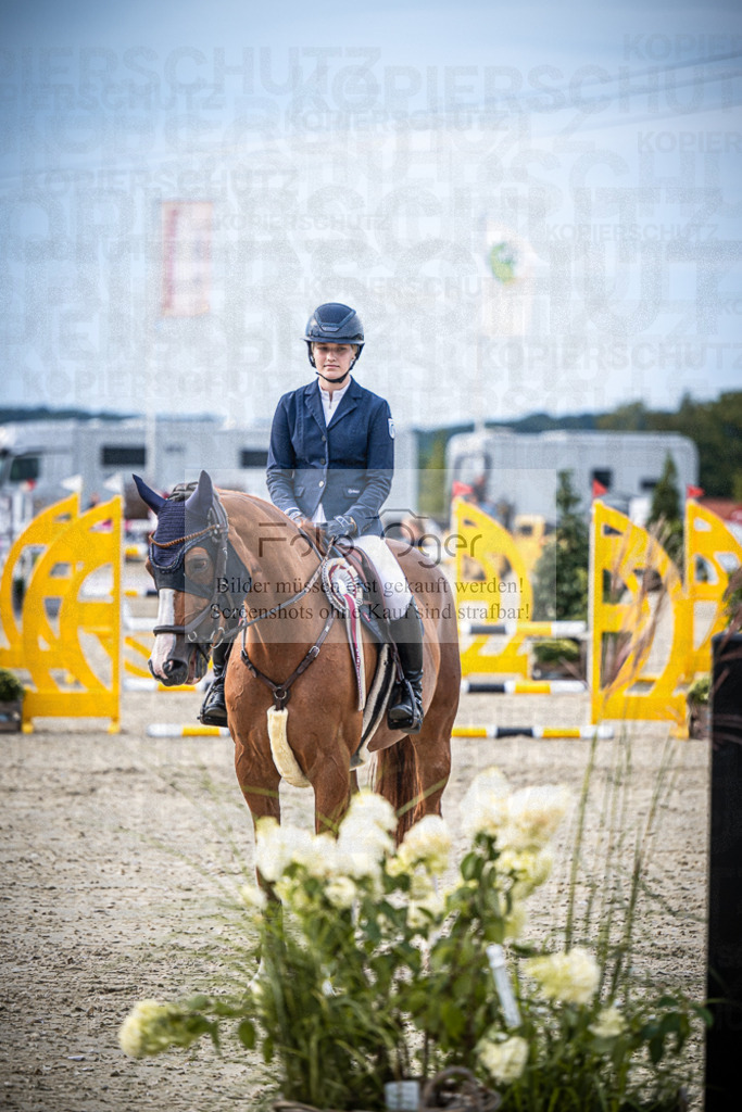 DOS_3065 | Entdecke hochwertige Reitturnierfotos von Foto Oger. Professionell, emotional und authentisch – jetzt Lieblingsmomente im Shop bestellen.Deutschlandweite Turnierfotografie. - Realisiert mit Pictrs.com