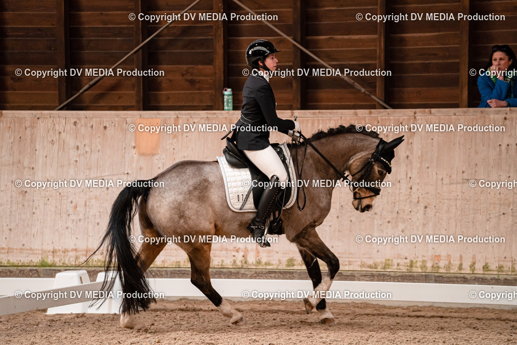 Dressur Tag 2-302 | dv-media-shop - Realisiert mit Pictrs.com