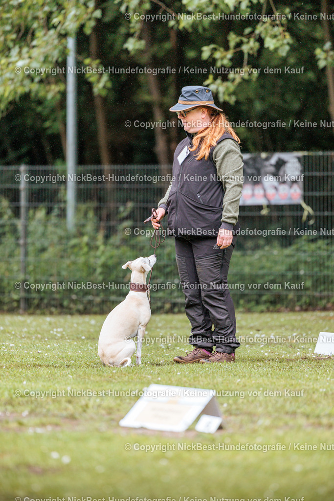 RO-Blumenthal-2026-Nickbest-Hundefotografie-0155 | Dein Hund! Dein Moment! Deine Erinnerungen! Hundefotografie in Bremen Blumenthal. Ich fange die besonderen Momente deines Vierbeiners ein – ob Indoor mit Blitzanlage oder in der freien Natur. Sicher dir dein Moment und dein Termin für eure Erinnerungen.
