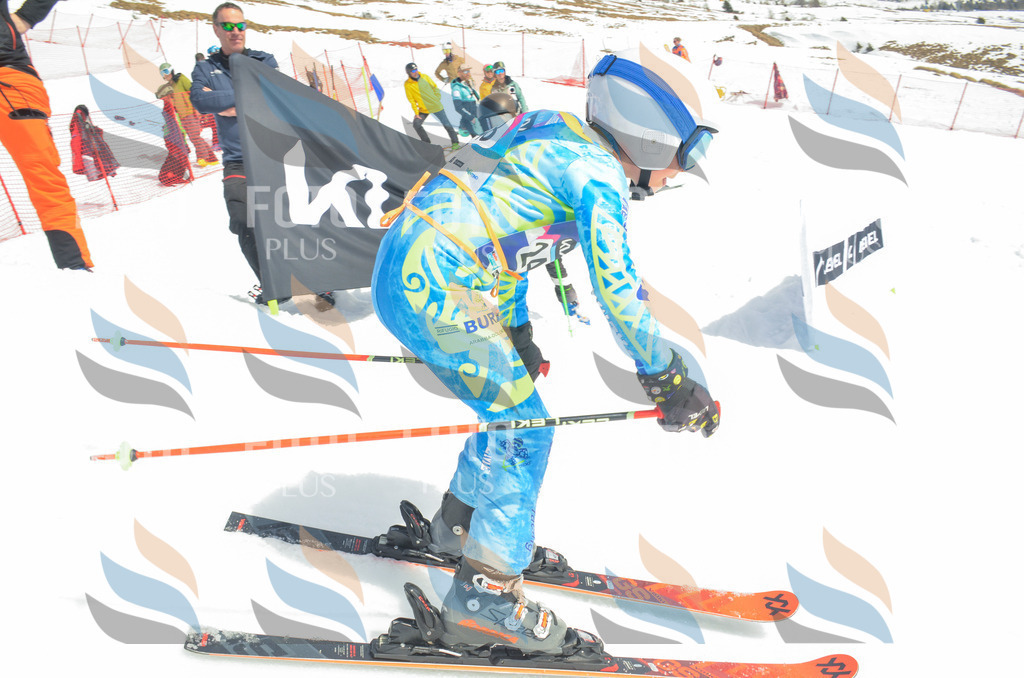 _ELE7523 | holidayphoto