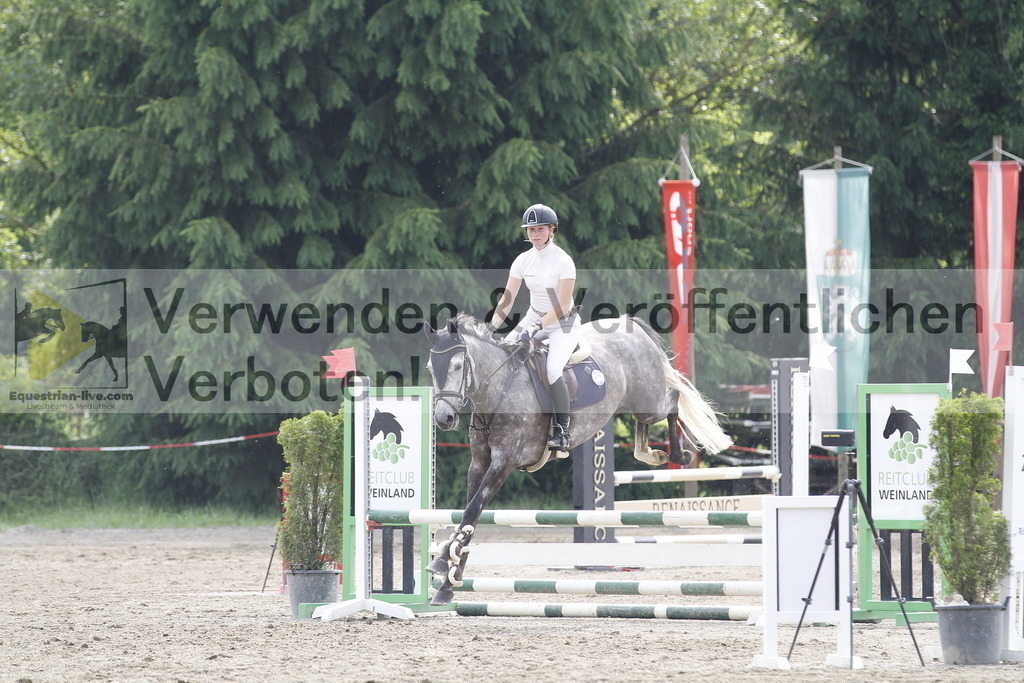 _MG_1119 | equestrian-live-com