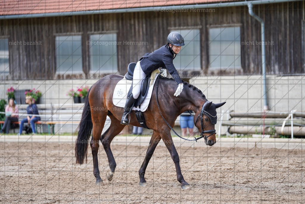 20240519-FAH05077 | Turnierbilder Niederseeon 2024, Vielseitigkeitsdressur, Reitsportbilder aus dem Landkreit Ebersberg, Gut Steinsee, RC Steinsee, Fotoagentur Herrmann