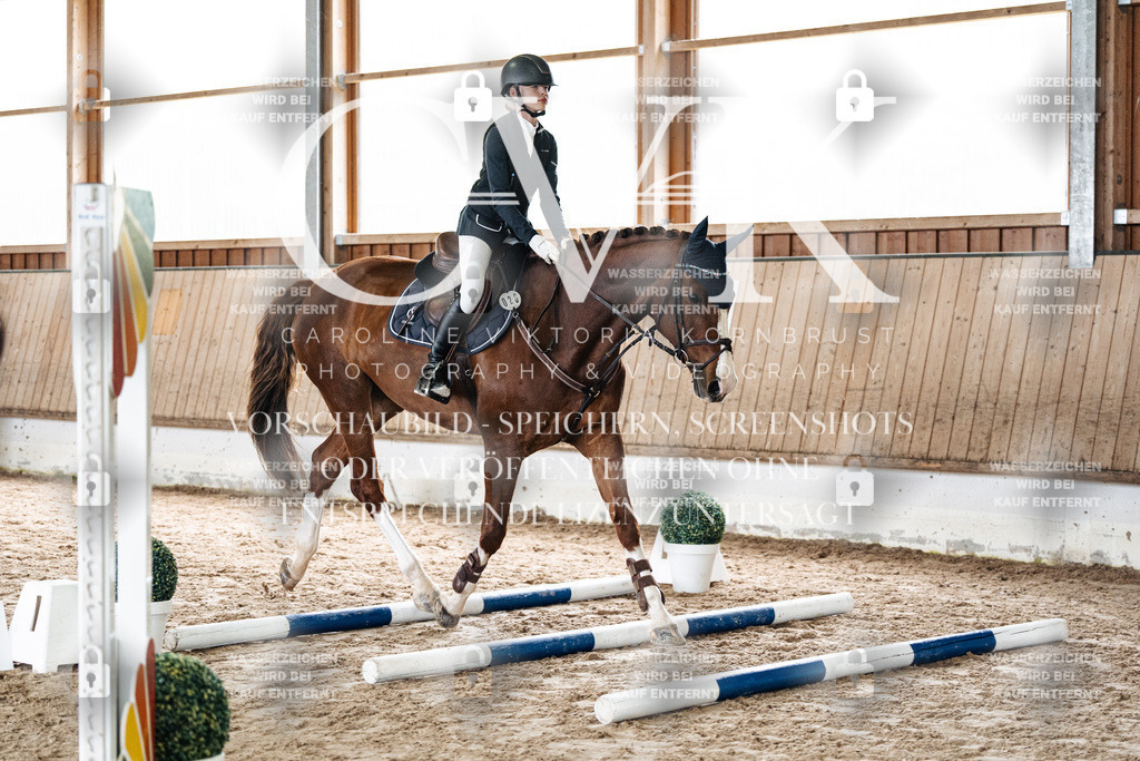 CK902583 | Turnierfotografie Pferdefotografie Trier Rheinland-Pfalz Pferdesport Reitsport Tierfotografie Sportfotografie Pferdevideo Pferdevideografie Equestrianvideography equestrianphotography  - Realisiert mit Pictrs.com