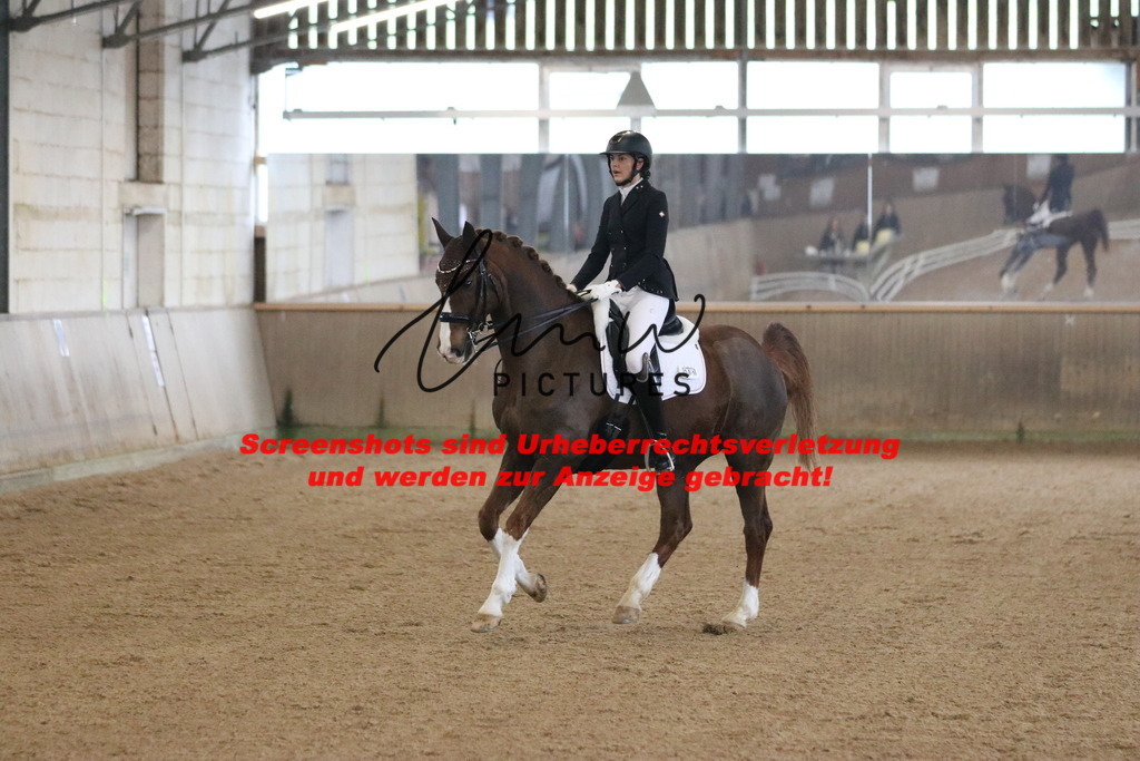 IMG_9263 | lmwpictures - Realisiert mit Pictrs.com