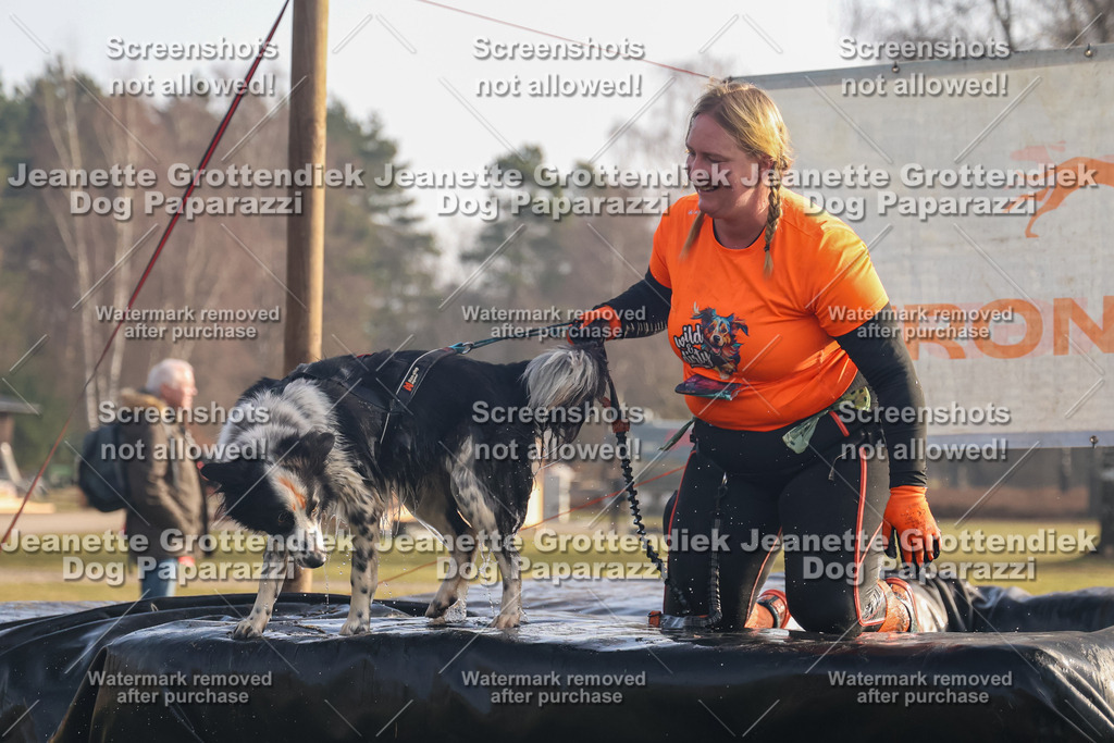 Dog Paparazzi - SD North 0326 900930-295 | Dog Paparazzi Jeanette Grottendiek Fotografie & Videografie - Realisiert mit Pictrs.com