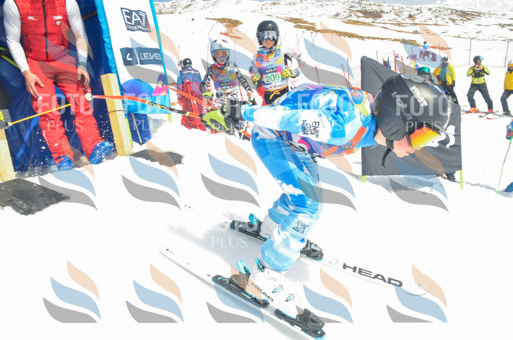 _ELE6908 | holidayphoto