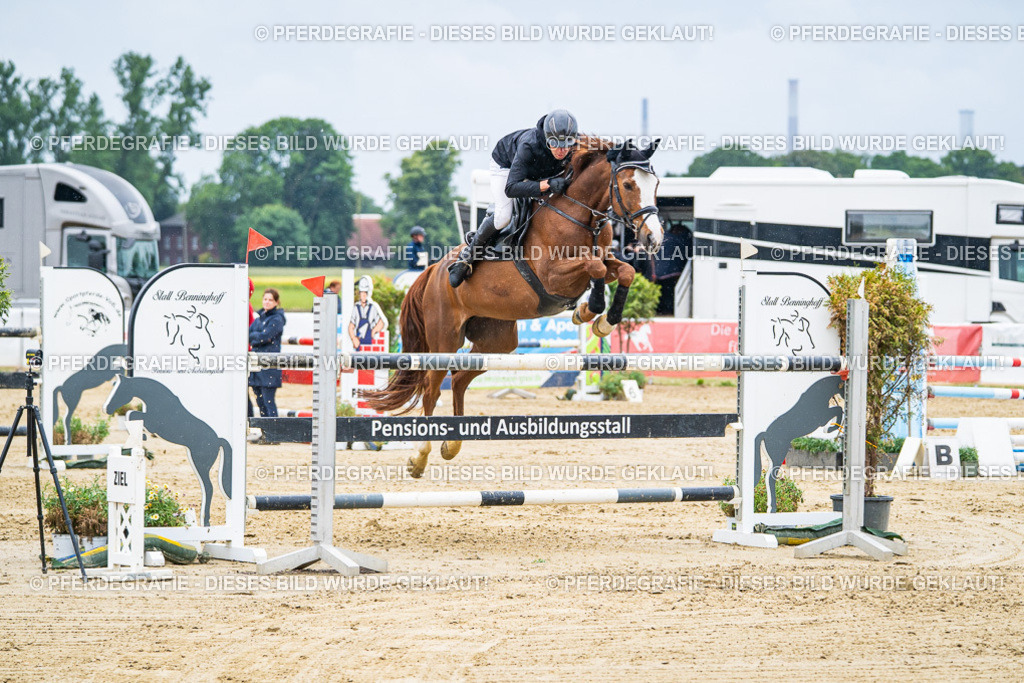 DSC09423 | Pferdegrafie