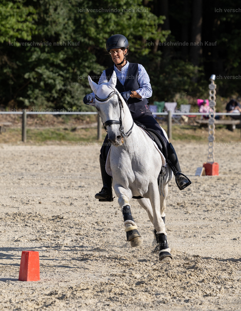 WS_SPEED_57_KerstinBernhardt-14 | working equitationturnier fotograf videograf stoibphotography marixx film working equitation deutschland reitsport turnierfotografie eventfotografie equestrian events