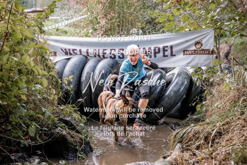 nelerasche_Hunsrück2026_Sa1400-1500_111 | nelerasche