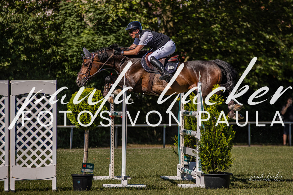 IMG_0719 | Erleben Sie dynamische Sport- und emotionale Tierfotografie in Süddeutschland mit Fotos von Paula. Spezialisiert auf Pferde- und Hundefotografie sowie Sportevents. Kontaktieren Sie mich für einzigartige und ausdrucksstarke Bilder Ihrer besonderen Momente. - Realisiert mit Pictrs.com