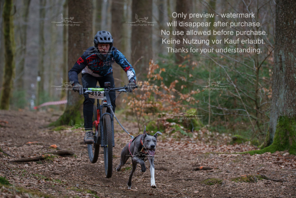 Bike_So-17 | stephaniefillaphotographie - Realisiert mit Pictrs.com