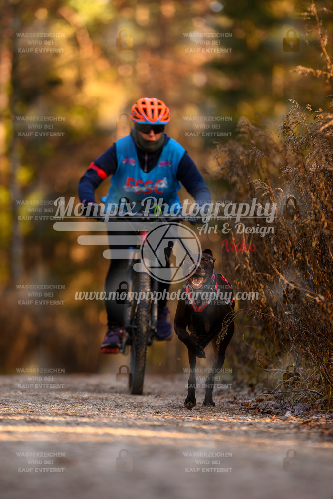 MompixPhotography_DM_AKDM_SO_2025_Bike-130 | PayLife