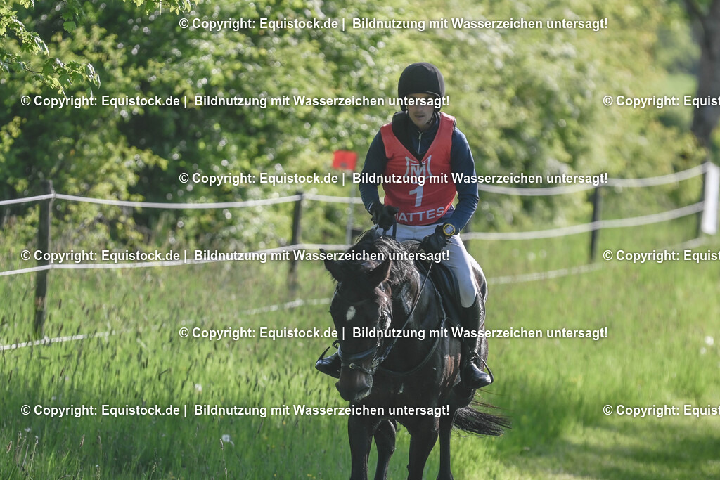 20250517_CCI2_Gelände_0074 | Foto: Thomas Hartig