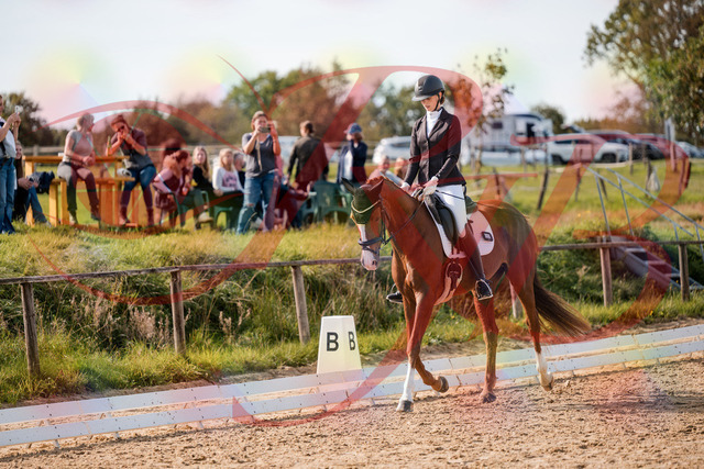 2026_10_03_Siefer-Hof_132816_Z63_88671123 | Professionelle Reitsport-, Turnier- und Eventfotografie von Robert Broda. Galerien mit ausgewählten und bearbeiteten Bildern direkt online ansehen und bestellen.
