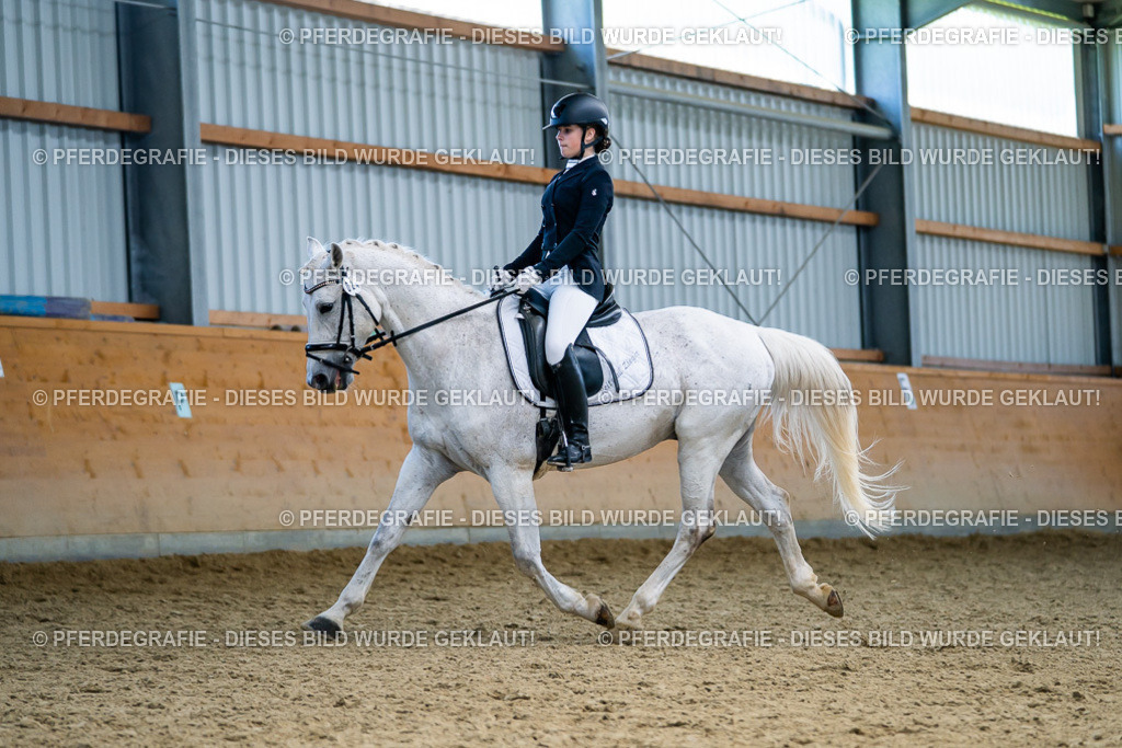 DSC05519 | Pferdegrafie