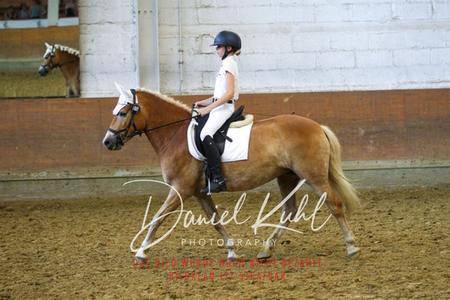 DKP44303 | Turniersportfotografie; Pferdefotografie; Dressurfotografie