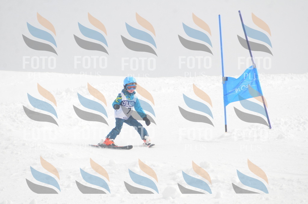 A5036 | holidayphoto