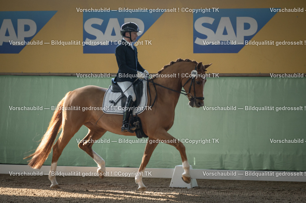 _D5A0387 | Emotionale Pferde- & People-Fotografie rund um Heidelberg, Leimen & Umgebung. Natürliche Fotos von Pferd, Mensch & Familie. Jetzt Termin sichern!