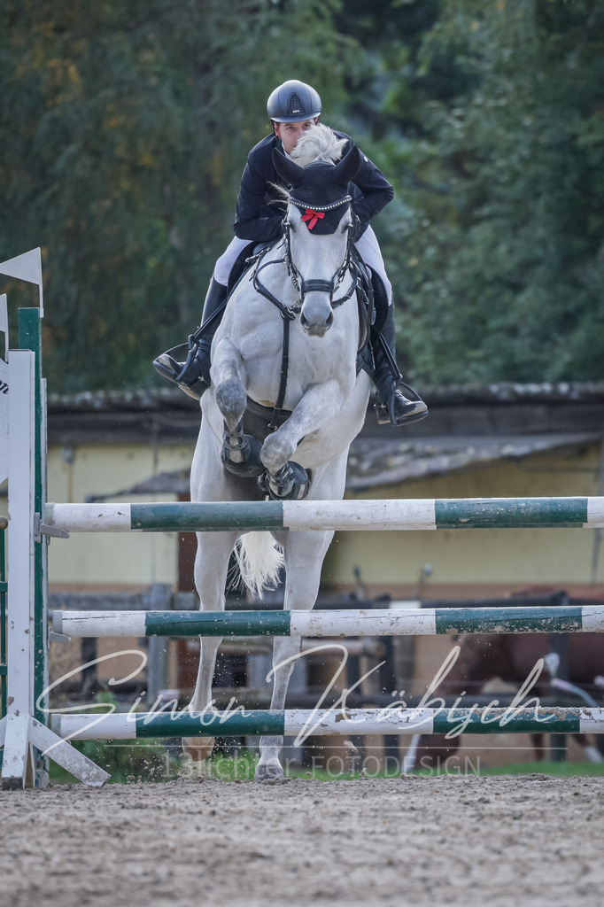 20251012-_3LI5519 | Tierfotografie Pferde, Hunde, Katzen, Haustiere.
Turnierfotografie Reitturniere, Reiten, Springreiten, Dressur in Hanau, dem Main-Kinzig-Kreis und dem Rhein-Main- Gebiet um Frankfurt