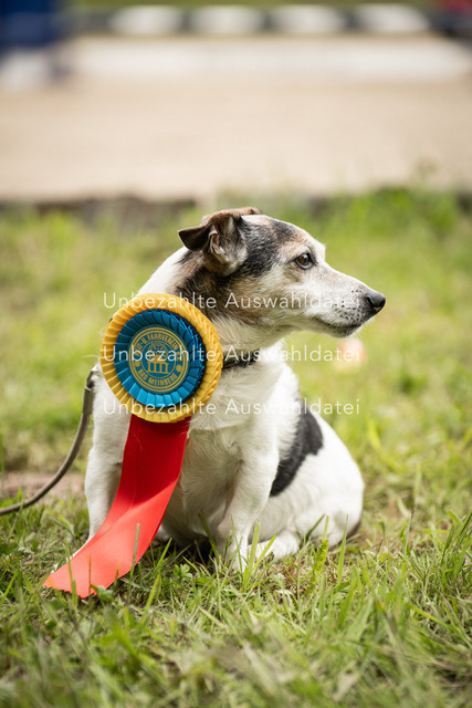 Bad_Meinberg_06932 | saradresslerfotografie - Realisiert mit Pictrs.com