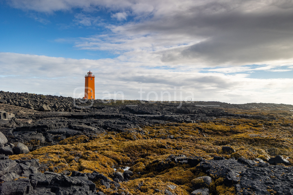 JB3A2918 | antonija-trupina - Realisiert mit Pictrs.com