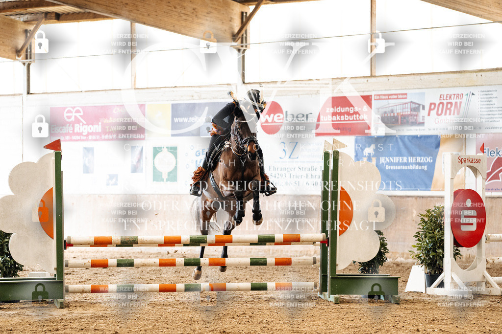 CK905534 | Turnierfotografie Pferdefotografie Trier Rheinland-Pfalz Pferdesport Reitsport Tierfotografie Sportfotografie Pferdevideo Pferdevideografie Equestrianvideography equestrianphotography  - Realized with Pictrs.com