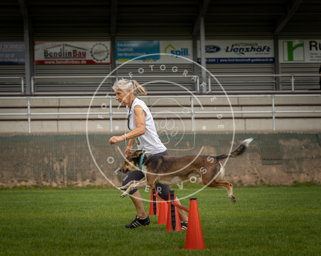 Pfotenfotografie_DV3A7749 | Hundefotografie, Tierfotograf, Pfotenfotografie, Fotoshooting Hund, Hunde Portrait, Hundesport, Hundeportraits, Heideshooting, Hunde, Sportfotograf, Hundefotograf, Turnierhundsport, THS,  - Realisiert mit Pictrs.com