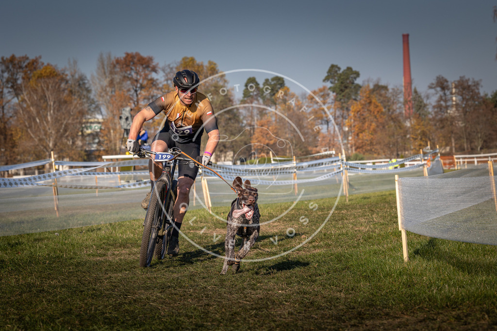 CaniXpix_0L8A6315 | Hundefotografie, Tierfotograf, Pfotenfotografie, Fotoshooting Hund, Hunde Portrait, Hundesport, Hundeportraits, Heideshooting, Hunde, Sportfotograf, Hundefotograf, Turnierhundsport, THS,  - Realisiert mit Pictrs.com