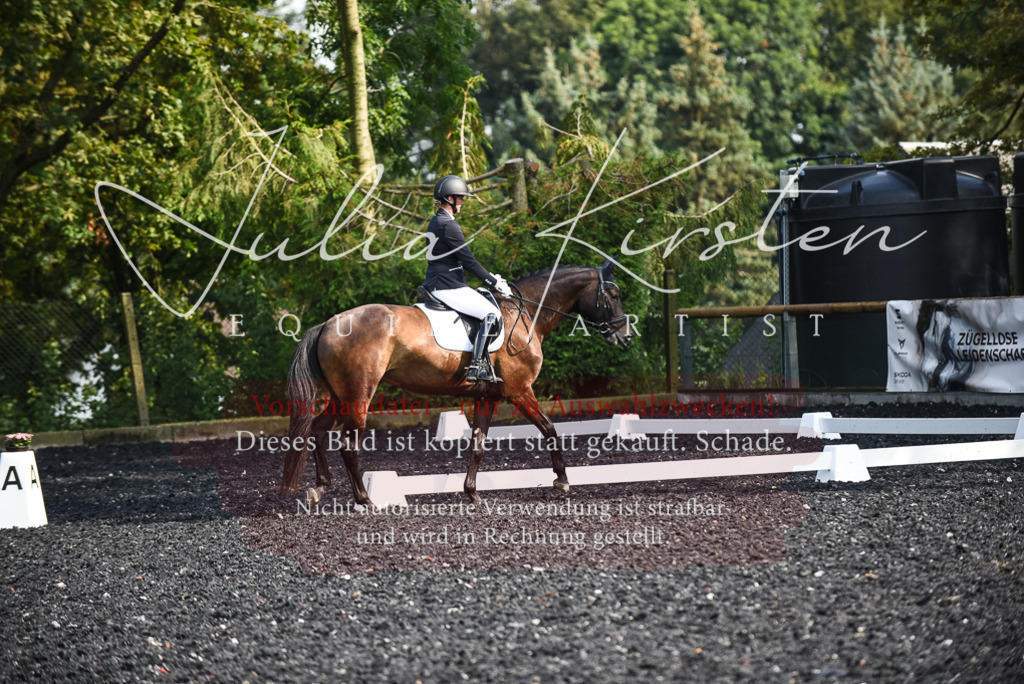 DSC_3124 | Pferde- und Turnierfotografie in Westsachsen. Pferdeportraits, Auftragszeichnungen und intuitive Kunst.