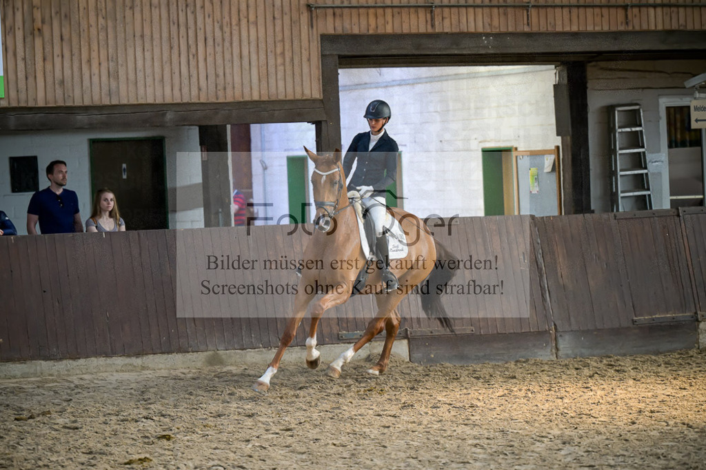 Reitturnier Voxtrup | Entdecke hochwertige Reitturnierfotos von Foto Oger. Professionell, emotional und authentisch – jetzt Lieblingsmomente im Shop bestellen.Deutschlandweite Turnierfotografie. - Realisiert mit Pictrs.com