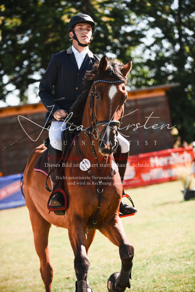 DSC_2490 | Pferde- und Turnierfotografie in Westsachsen. Pferdeportraits, Auftragszeichnungen und intuitive Kunst.