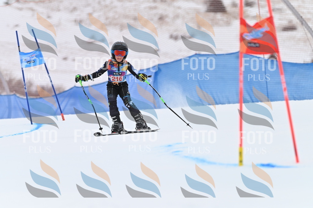 BGV_2796 | holidayphoto