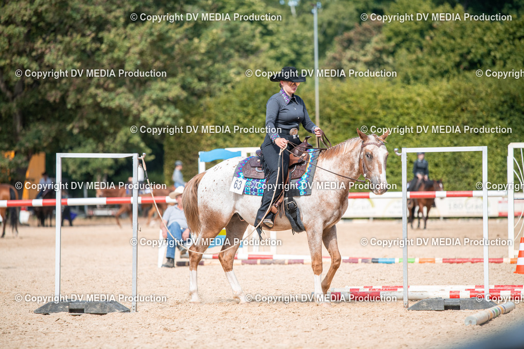 EWP_6914 | dv-media-shop - Realisiert mit Pictrs.com