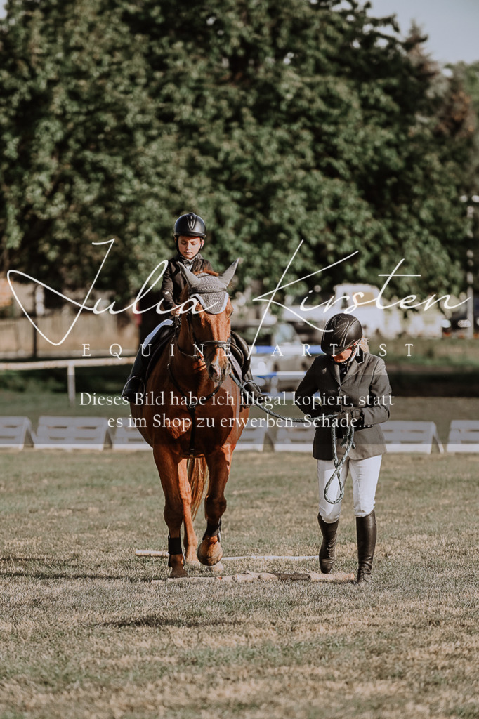 DSC_0090 | Pferde- und Turnierfotografie in Westsachsen. Pferdeportraits, Auftragszeichnungen und intuitive Kunst.