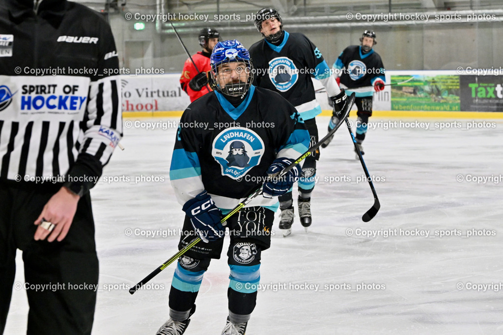Lendhafen Seelöwen vs. Spartans Althofen | #72 Wachter Daniel Lendhafen Seelöwen, Lendhafen Seelöwen vs. Spartans Althofen, Lendhafen Seelöwen vs. Spartans Althofen am 14.02.2025 in Ferlach (HTC Eishalle Ferlach), Austria, (Photo by Bernd Stefan)