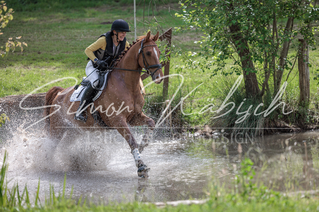 20260523-_3LI9375 | Tierfotografie Pferde, Hunde, Katzen, Haustiere.
Turnierfotografie Reitturniere, Reiten, Springreiten, Dressur in Hanau, dem Main-Kinzig-Kreis und dem Rhein-Main- Gebiet um Frankfurt