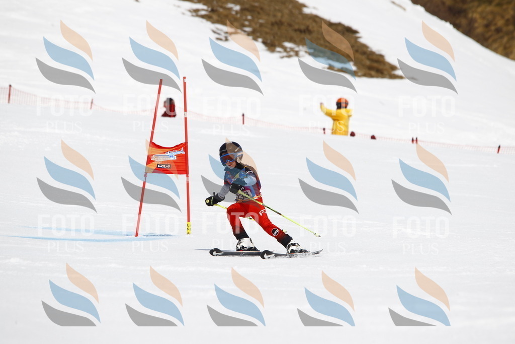 _U3G6050 | holidayphoto