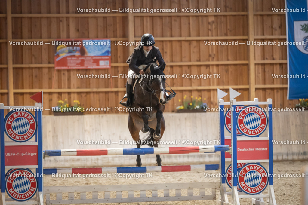 _D5A8796 | Emotionale Pferde- & People-Fotografie rund um Heidelberg, Leimen & Umgebung. Natürliche Fotos von Pferd, Mensch & Familie. Jetzt Termin sichern!