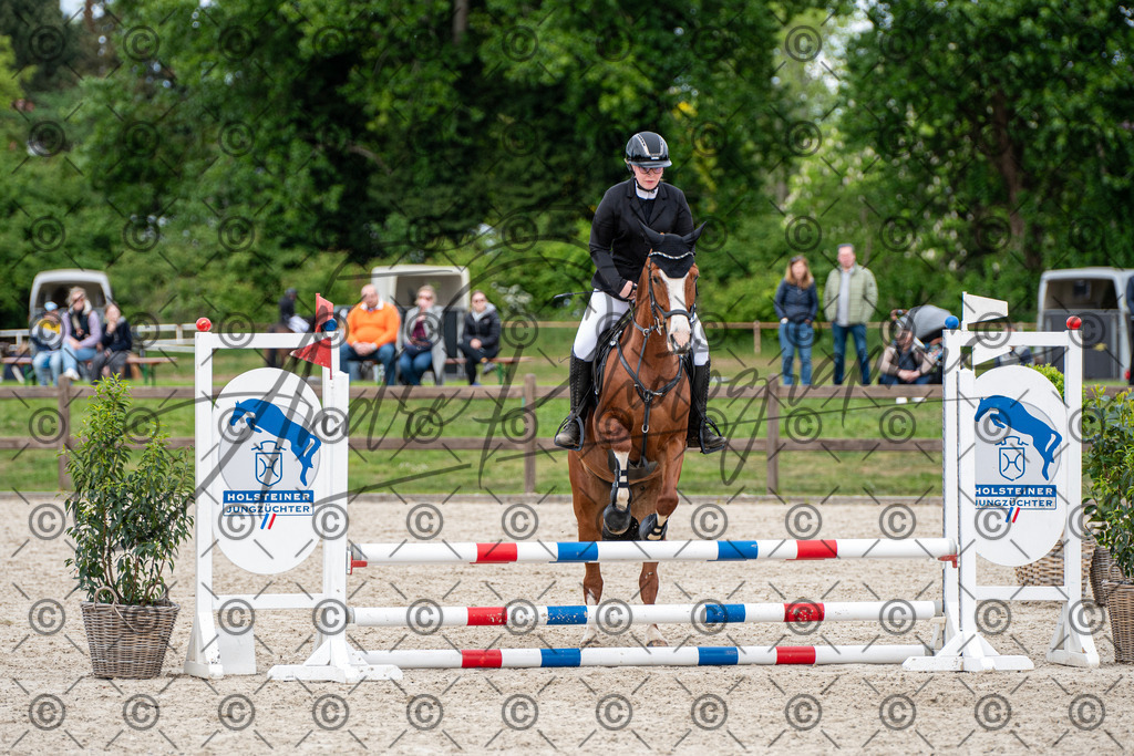 KPT_6231 | andre_photographic