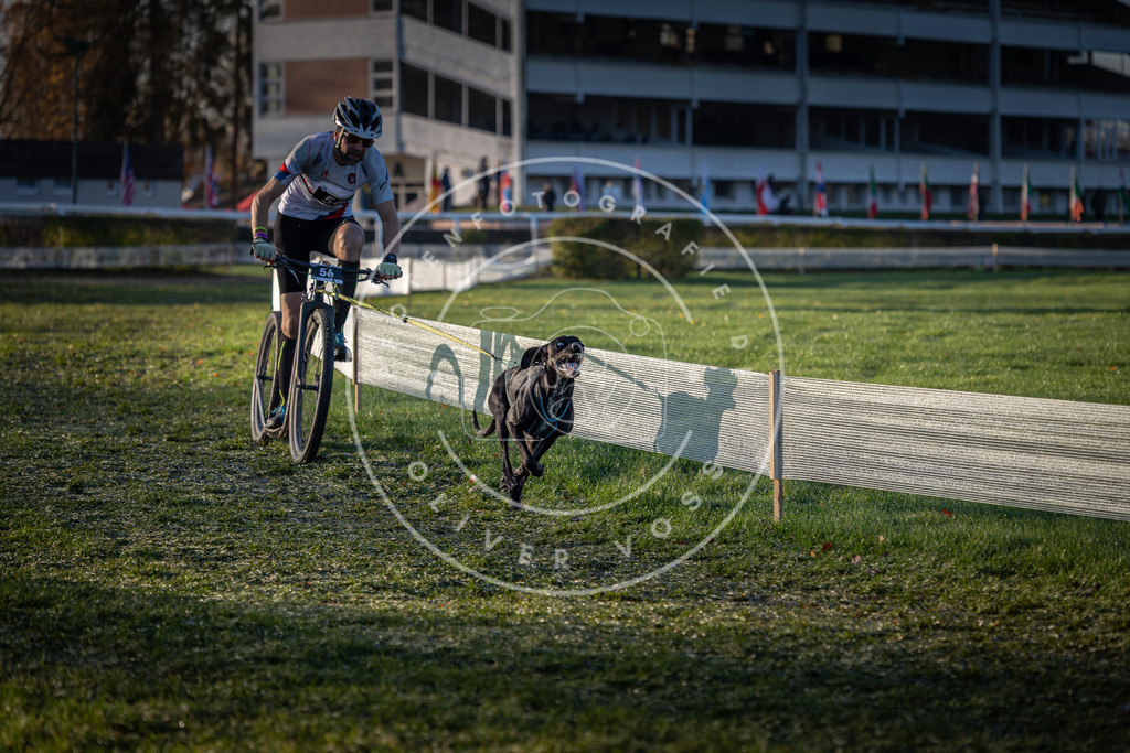CaniXpix_0L8A2689 | Hundefotografie, Tierfotograf, Pfotenfotografie, Fotoshooting Hund, Hunde Portrait, Hundesport, Hundeportraits, Heideshooting, Hunde, Sportfotograf, Hundefotograf, Turnierhundsport, THS,  - Realisiert mit Pictrs.com