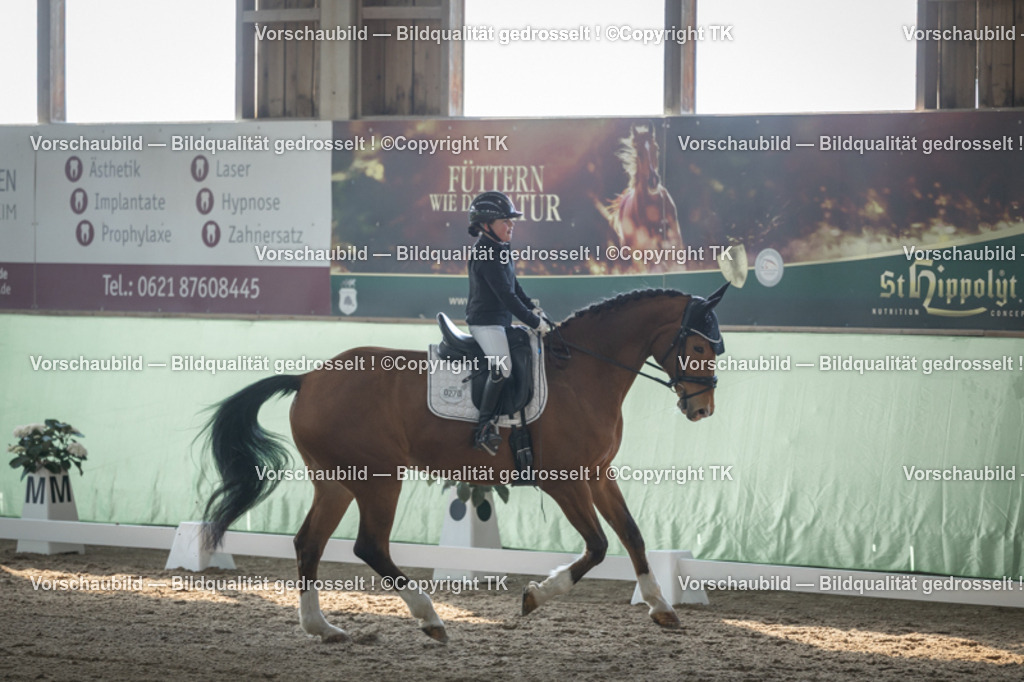 _D5A8199 | Emotionale Pferde- & People-Fotografie rund um Heidelberg, Leimen & Umgebung. Natürliche Fotos von Pferd, Mensch & Familie. Jetzt Termin sichern!