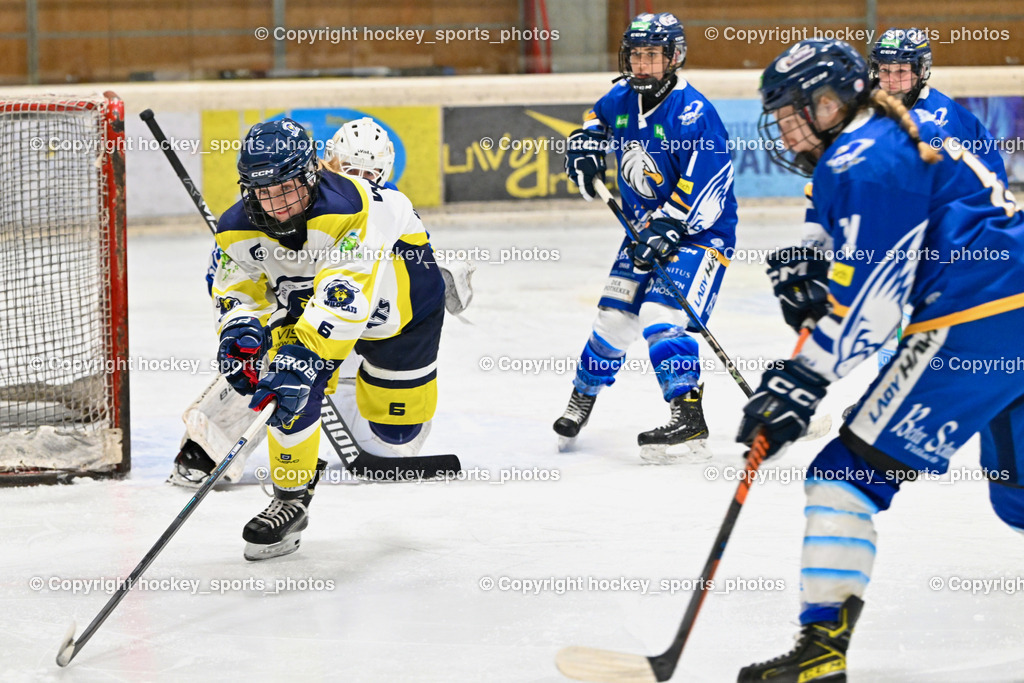 Wildcats Paternion vs. Lady Hawks  | #6 Jelovcan Selina WILDCATS PATERNION, Wildcats Paternion vs. Lady Hawks , Wildcats Paternion vs. Lady Hawks  am 27.01.2025 in Spittal an der Drau (Eissportzentrum Spittal), Austria, (Photo by Bernd Stefan)
