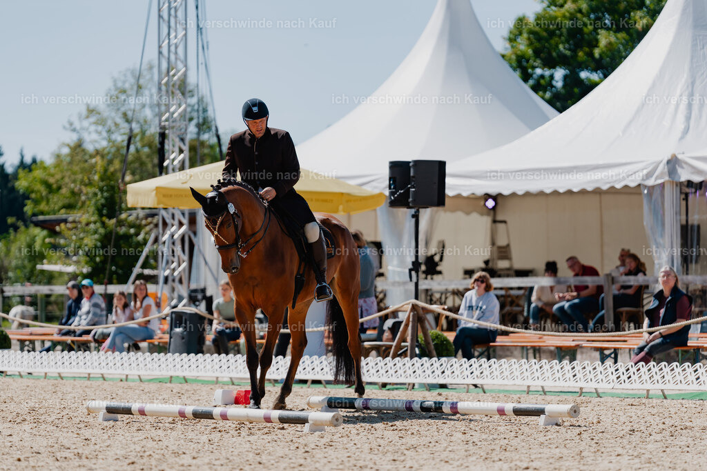 Gernot25_FHC2025-08317 | working equitationturnier fotograf videograf stoibphotography marixx film working equitation deutschland reitsport turnierfotografie eventfotografie equestrian events