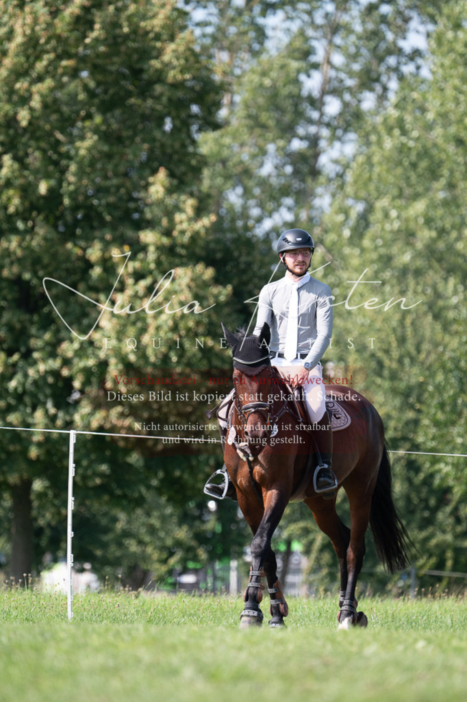 DSC_0911 | Pferde- und Turnierfotografie in Westsachsen. Pferdeportraits, Auftragszeichnungen und intuitive Kunst.