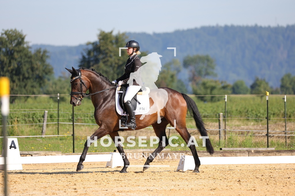 0P6A7194 | Willkommen bei Brunnmayr - Design & Fotografie – Ihrem Spezialisten für Reitturniere und Pferdeveranstaltungen in Oberösterreich, Salzburg und Bayern! Seit über 17 Jahren sind wir leidenschaftlich dabei.