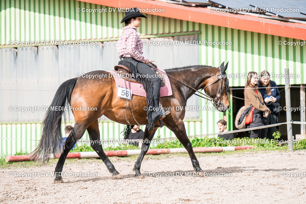 BAL02685 | dv-media-shop - Realisiert mit Pictrs.com