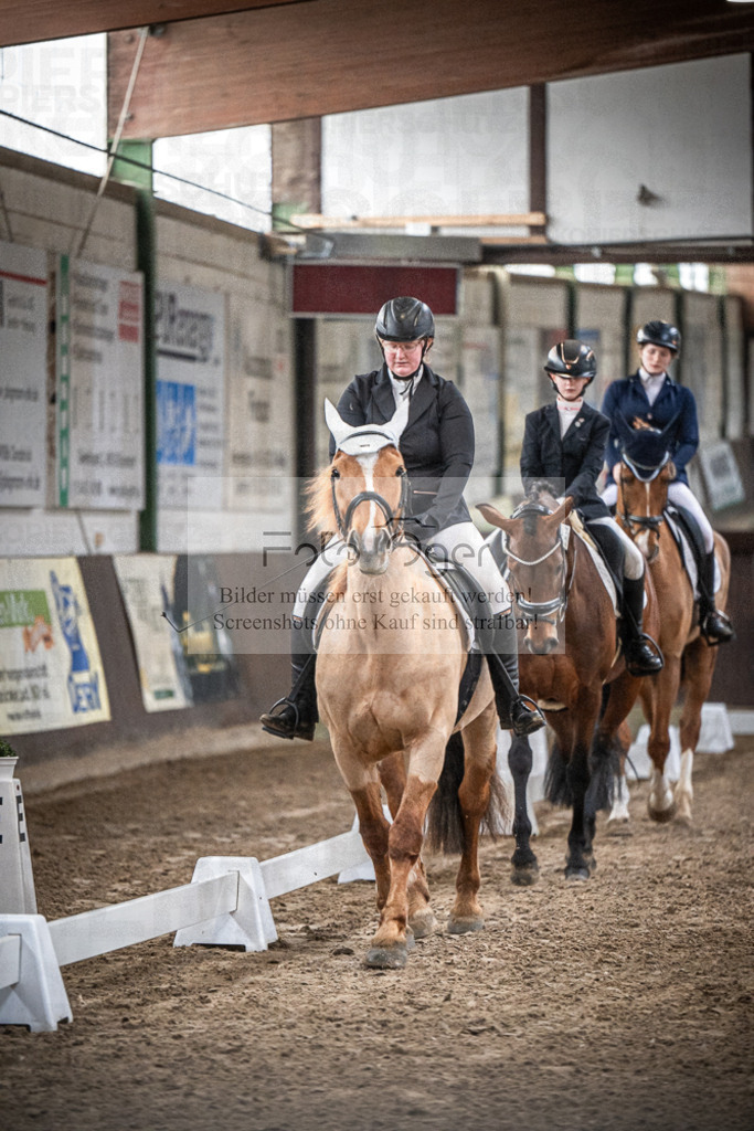 DOS_0258 | Entdecke hochwertige Reitturnierfotos von Foto Oger. Professionell, emotional und authentisch – jetzt Lieblingsmomente im Shop bestellen.Deutschlandweite Turnierfotografie. - Realisiert mit Pictrs.com