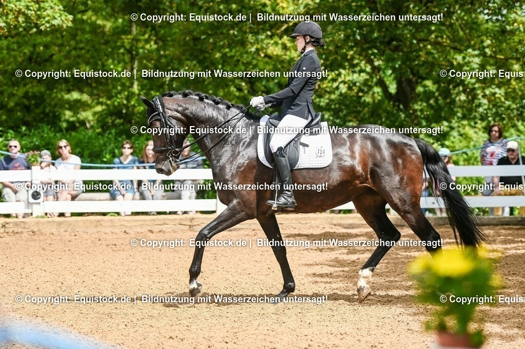 20230716_01_Dressurprüfung Kl.M_0055 | equistock