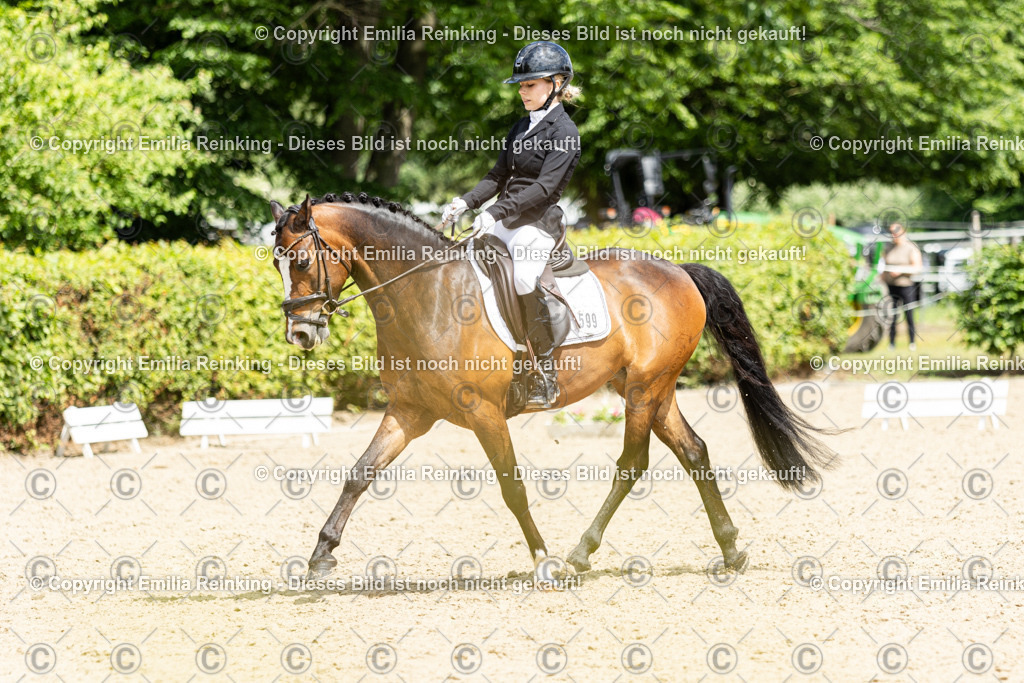 CL5A2747 | Emilia Reinking Fotografie - Realisiert mit Pictrs.com