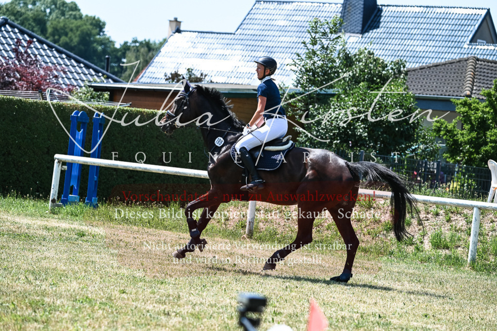 DSC_0084 | Pferde- und Turnierfotografie in Westsachsen. Pferdeportraits, Auftragszeichnungen und intuitive Kunst.